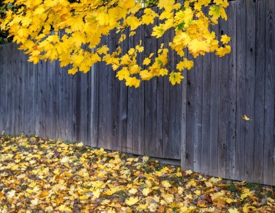 Een rommelige tuin overwintert beter dan een opgeruimde